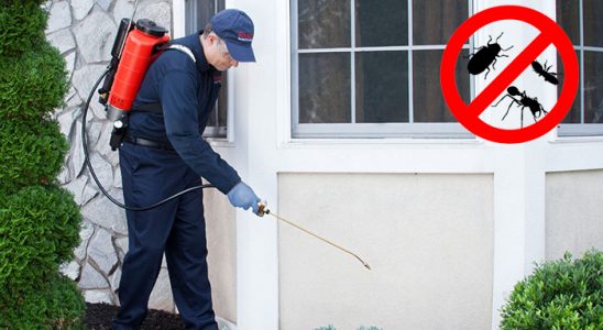 Boyabat Akrep İlaçlama böcek ilaçlama ve haşere kontrolü — ilaclama-tr.com
